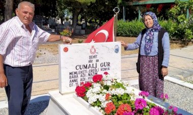 Büyük utanç! Şehidin bayrak direğini çaldılar!