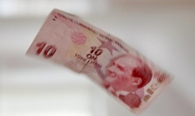 TL’deki kan kaybı nasıl durur?
