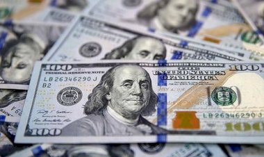 Bloomberg'den 'Kamu bankaları döviz sattı' iddiası