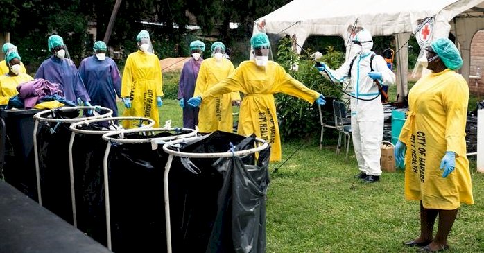 Afrika'da vaka sayısının düşüklüğü bilim insanlarını şaşırtıyor