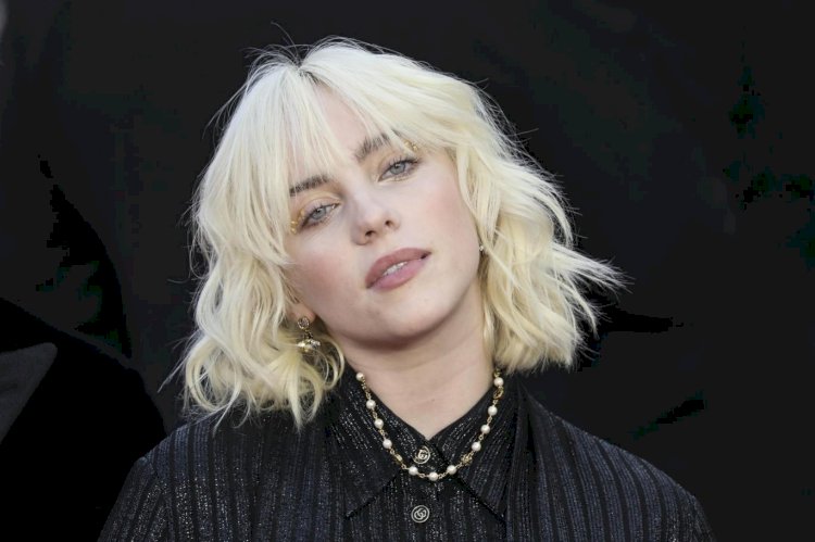 Billie Eilish her yıl Şükran Günü'nde öldürülen on milyonlarca hindiye dikkat çekti