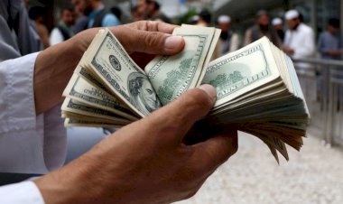 Uzmanlardan dolar yorumu: Dalgaların insafına kaldık