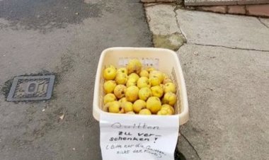 Türk Milleti yardımlaşma kültürünü kaybediyor mu?