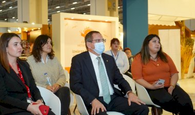 AYVALIK UNESCO YOLUNDA