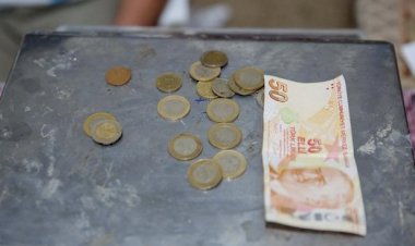 Alman iş dünyasında Türk Lirası endişesi