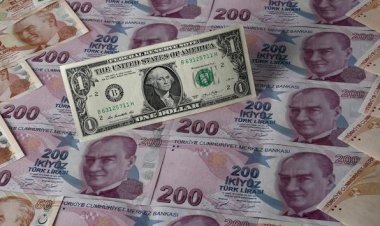 Merkez Bankası'nın döviz satışı ne kadar etkili?