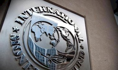 IMF'den faiz oranı uyarısı: Hükümetlerin toparlama kabiliyeti yok