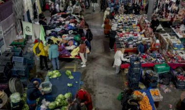 Dolar: Türkiye’de iktisadi dengeler neden bozuluyor, faiz indirimleri sürerse ne olur?