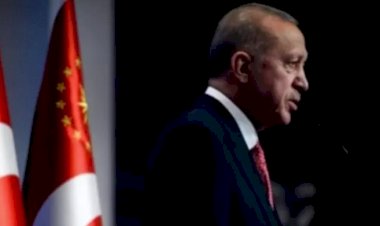 FT: Erdoğan'ın faizi indirerek enflasyonu düşürme politikası neden işe yaramıyor?