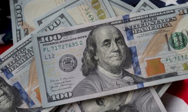 Erdoğan'ın doları düşürme sırrını sızdırdılar