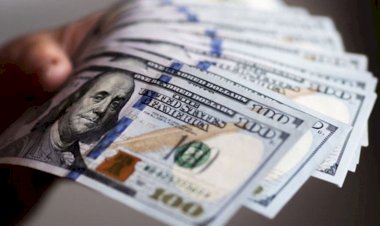 Patronlar dolar kuruna isyan etti: Büyük bir darbe alması demek