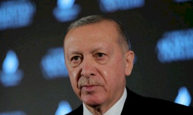 Japon gazetesi Nikkei: Erdoğan kurallar kitabını çöpe attı