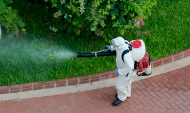 75 kurum Zehirsiz Kentler için harekete geçti