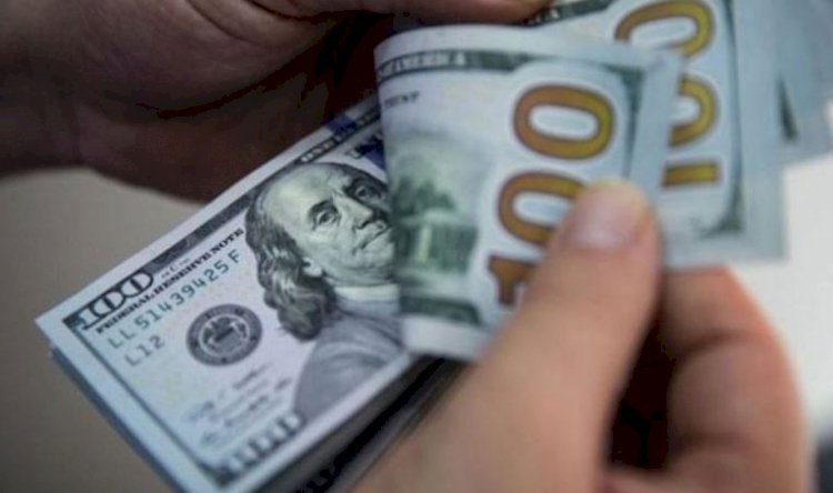 Ekonomistlerden endişelendiren dolar yorumu: Ülkemiz kıtlığa doğru koşuyor
