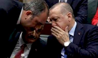 Bakanın önüne koyduğu hangi dosya Erdoğan'ı sinirlendirdi.