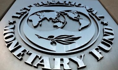 IMF de ekonomik büyüme tahminlerini düşürdü