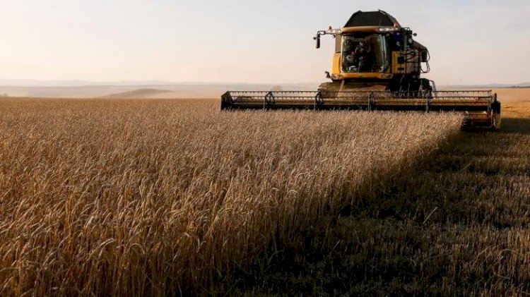 Ukrayna’nın işgali, dünyada gıda krizine yol açabilir