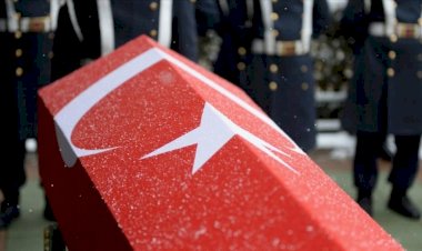 2019'dan beri  çoğunlukla profesyonel askerler şehit oluyor