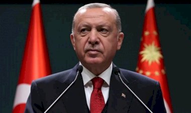 Son dakika: Şentop'tan cumhurbaşkanlığı adaylığı açıklaması: 'Makale yayınlayacağım'