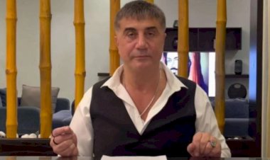 Yılmaz Özdil açıkladı: Peker'in pasaportuna el konuldu
