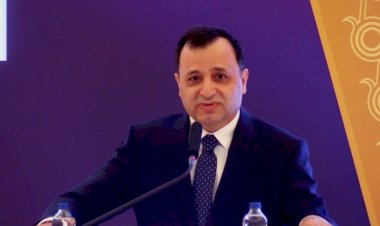 AYM Başkanı Zühtü Arslan: Bireysel başvurunun amacı tek tek sivrisinekleri yok etmek değildir, sivrisinekleri üreten bataklığı kurutmaktır