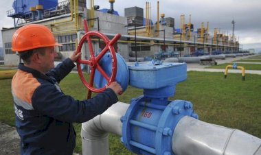 Ukrayna-Rusya krizinde Avrupa'nın Rus doğal gazına karşı seçenekleri neler?