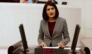 HDP Milletvekili Semra Güzel'in dokunulmazlığı kaldırıldı