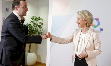 Ukrayna'dan sonra Gürcistan da AB üyeliği için resmi başvurusunu yaptı