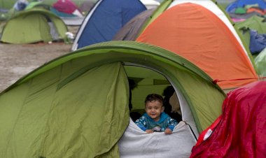 Türkiye'den 20 bin kişi 2021'de Avrupa ülkelerine iltica başvurusunda bulundu