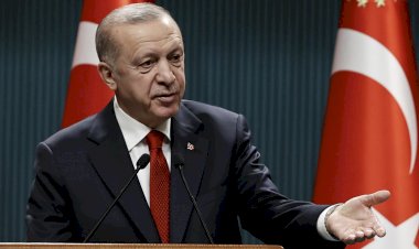 Erdoğan, Putin ve Zelenskiy ile görüşecek