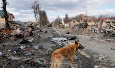 "Ukrayna'nın Savaş Suçu İddiaları Propaganda Amaçlı"