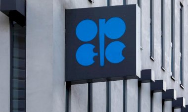 OPEC, AB'yi uyardı: Rusya'nın petrol arzı kaybını telafi etmeniz mümkün değil