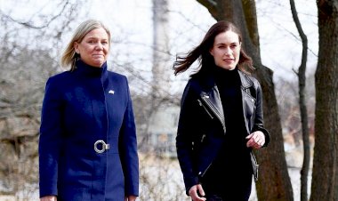 Finlandiya ve İsveç, NATO'ya üye olacak mı? Ülkelerin hangi adımları atması bekleniyor?