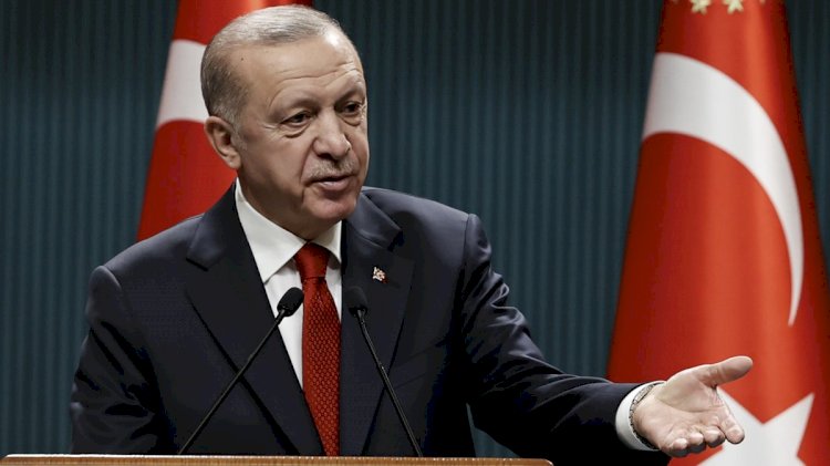 Erdoğan, Putin ve Zelenskiy ile görüşecek