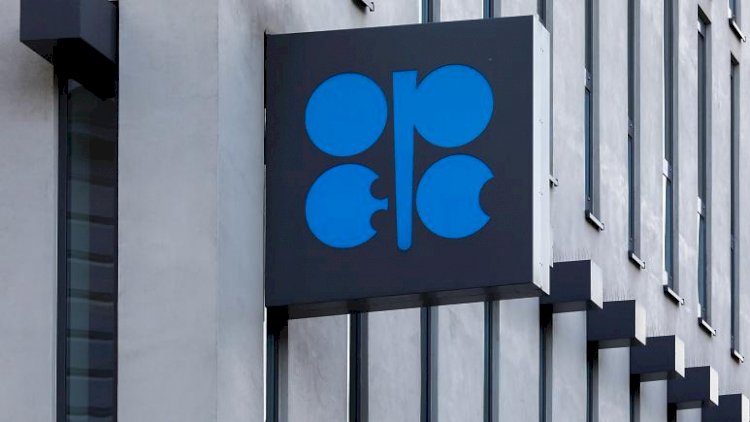OPEC, AB'yi uyardı: Rusya'nın petrol arzı kaybını telafi etmeniz mümkün değil
