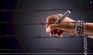 ABD'de Basın Özgürlüğü İçin Karar Tasarıları