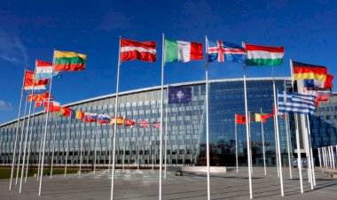 5 Soruda İsveç ve Finlandiya'nın NATO Üyeliği