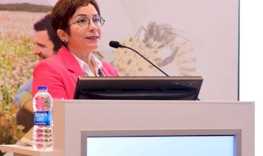 Dikkat! Her Şişlik ve Kızarıklık Alerji Olmayabilir