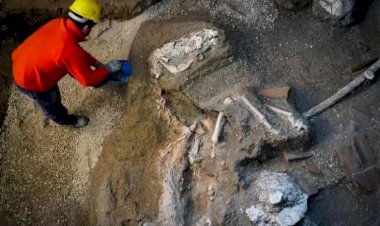 Pompeii’de ilk kez yanardağ kurbanına genom dizilimi yapıldı: 'Anadolu kökenli olabilir'