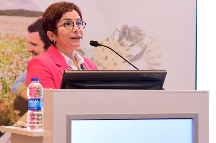 Dikkat! Her Şişlik ve Kızarıklık Alerji Olmayabilir