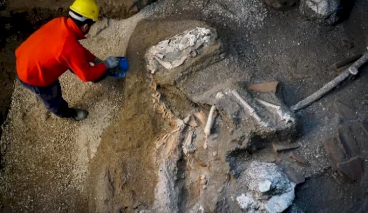 Pompeii’de ilk kez yanardağ kurbanına genom dizilimi yapıldı: 'Anadolu kökenli olabilir'