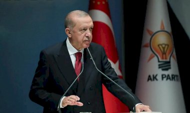 Bile bile lades…