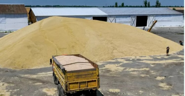 Rusya, Ukrayna'nın tahıllarını mı satıyor?