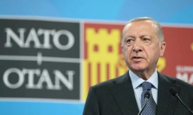 Erdoğan, İsveç ve Finlandiya'nın üyeliğinin iadeler gerçekleşmezse TBMM'de bloke edilebileceği uyarısını yaptı