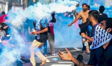 Sri Lanka ekonomisi nasıl çöktü?