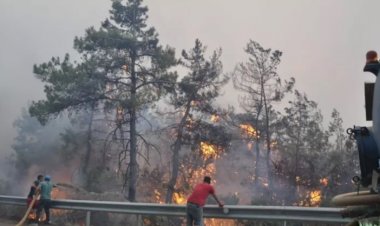 Datça'da alevler yerleşimlere ilerledi, tahliye kararı alındı