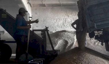 Ukrayna'dan tahıl koridoru anlaşması: İmzaların yarın atılması bekleniyor