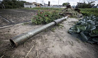 Rusya-Ukrayna savaşının gölgesinde hayatta kalma mücadelesi: Tankların etrafında sebze yetiştiriyor