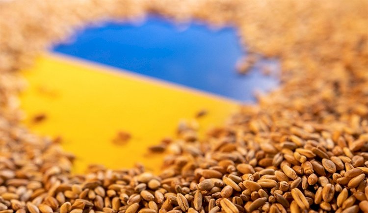 Türkiye, Ukrayna, Rusya ve BM heyetleri tahıl sevkiyatı için İstanbul'da bir araya geliyor