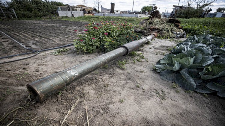 Rusya-Ukrayna savaşının gölgesinde hayatta kalma mücadelesi: Tankların etrafında sebze yetiştiriyor